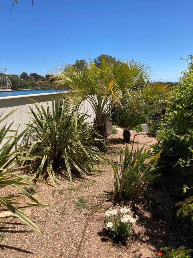 Villa Du Belvedere - La Chambre Mer Saint-Raphaël Exteriér fotografie